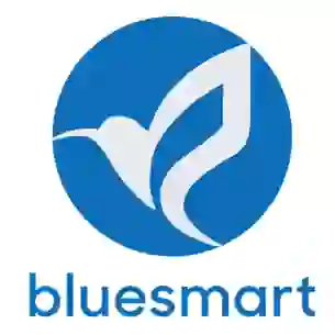 bluesmart